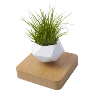 Svevende blomsterpotte – Magnetisk levitasjon